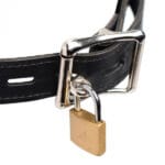 Musk Athletic Cup Muzzle - Image 4