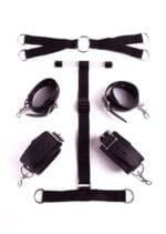 Positioned for Pleasure Set