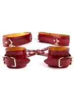 Python Thigh To Wrist Restraint - Image 2
