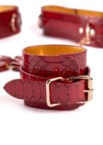 Python Thigh To Wrist Restraint - Image 3