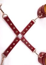 Python Thigh To Wrist Restraint - Image 4