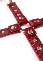 Python Thigh To Wrist Restraint - Image 5