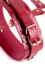 Python Thigh To Wrist Restraint - Image 2