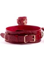 Python Thigh To Wrist Restraint - Image 4